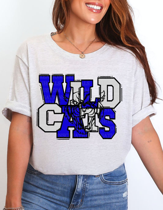 Wildcats Spirit