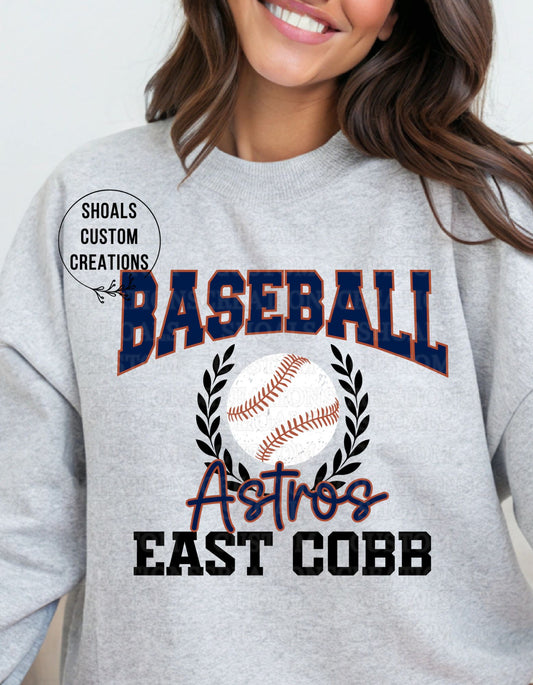 Astros Baseball